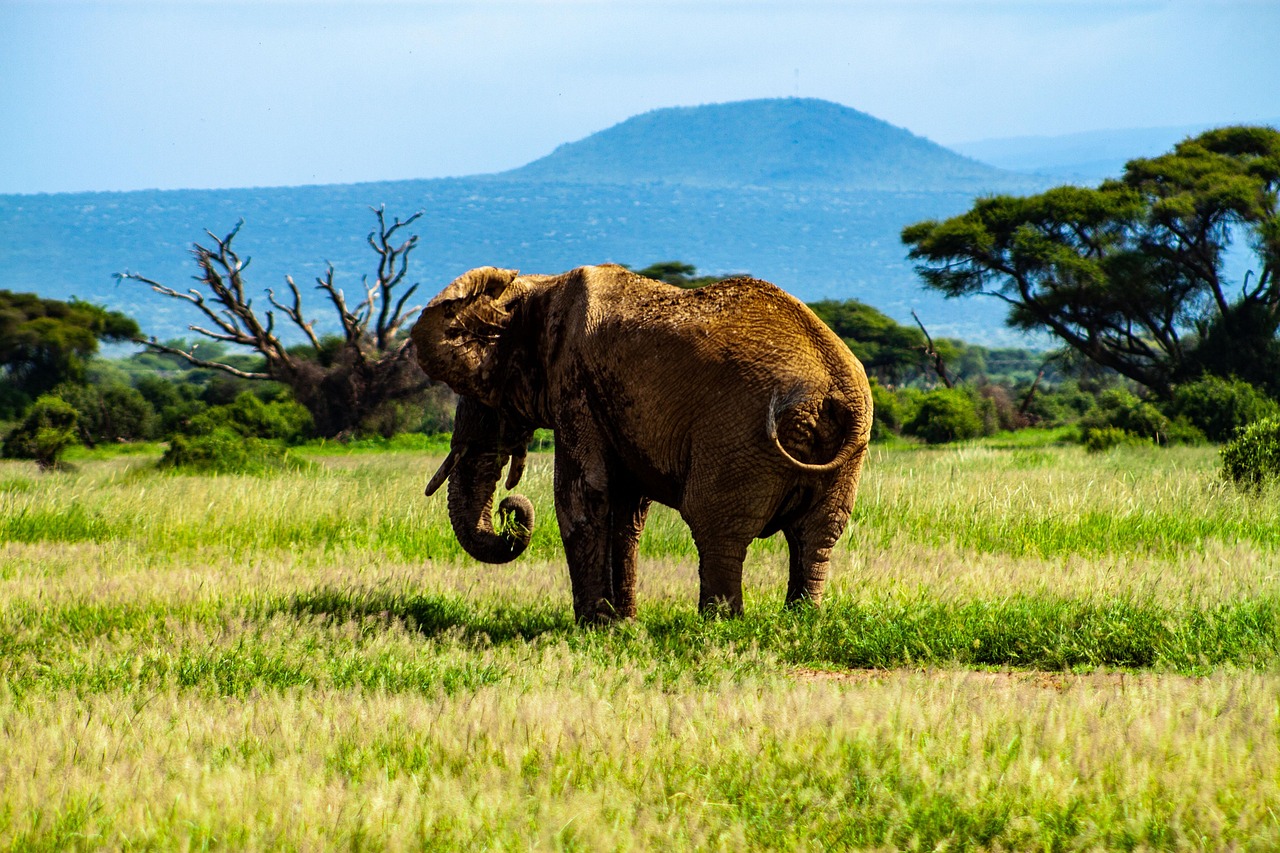 6 Days Umbwe Route Kilimanjaro Climb