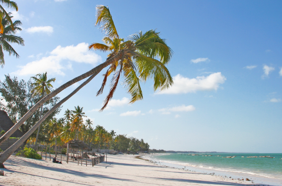 Safari and Zanzibar holiday